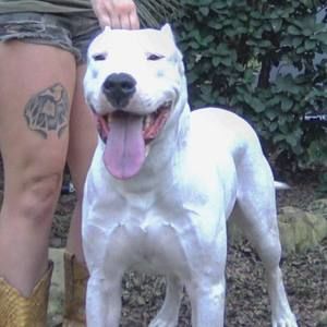 Meet your Posher, Allie